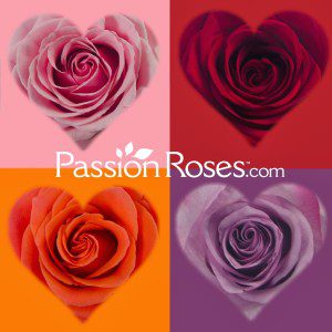 http://www.hamptonstohollywood.com/kyle-langan/6-things-roses-say-about-you/