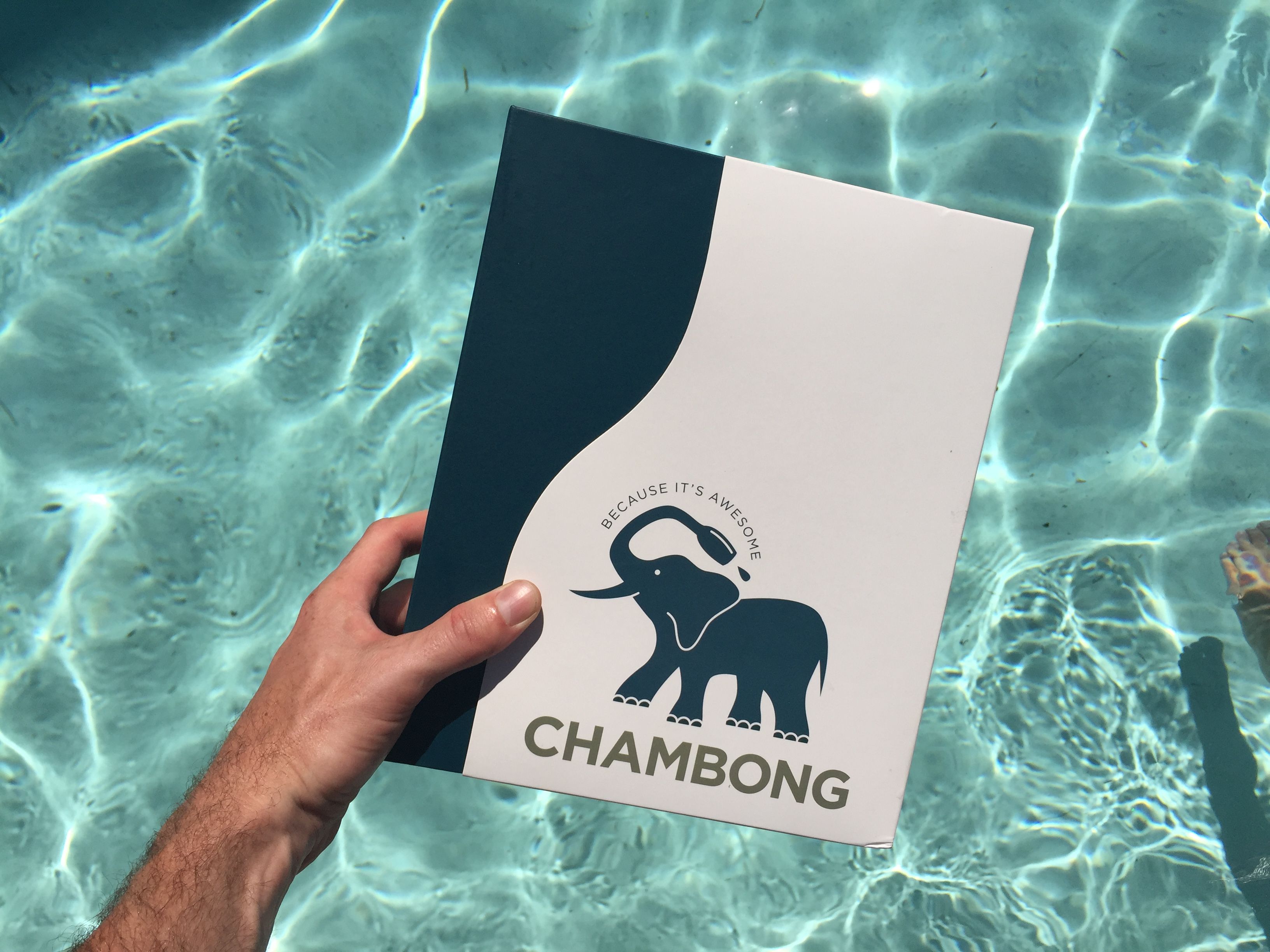 #ChampagneSociety Loves Chambong - Hamptons to Hollywood