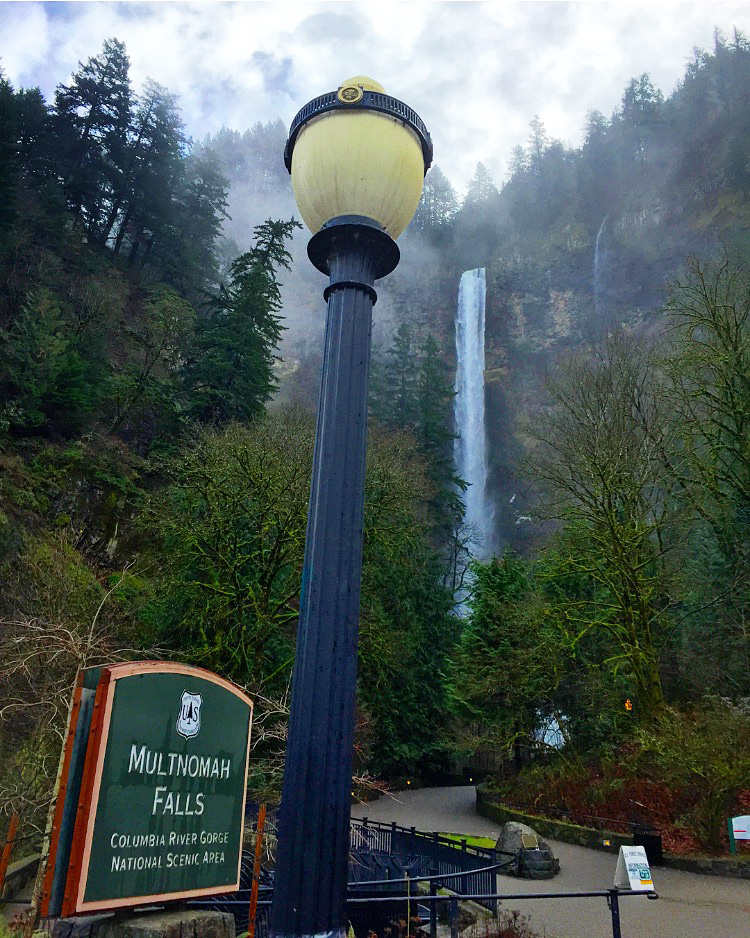 Hamptons to Hollywood: Kyle Langan in Portland