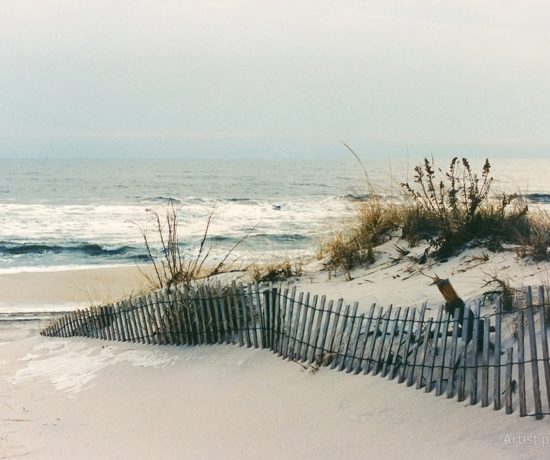 winter beach - hamptons to hollywood